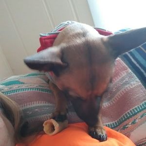 Meet your Posher, Jill